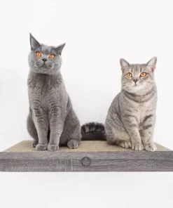 CanadianCat Kratzbrett Cloud -Katzenwelt Verkaufsgeschäft 222623627 xxl