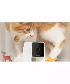 Petcube Haustierkamera Pet Cube 9 Petcube Haustierkamera Pet Cube -Katzenwelt Verkaufsgeschäft 223340947 xxl