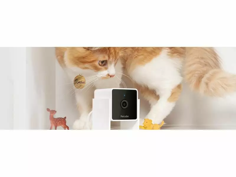 Petcube Haustierkamera Pet Cube 6 Petcube Haustierkamera Pet Cube – Bild 4