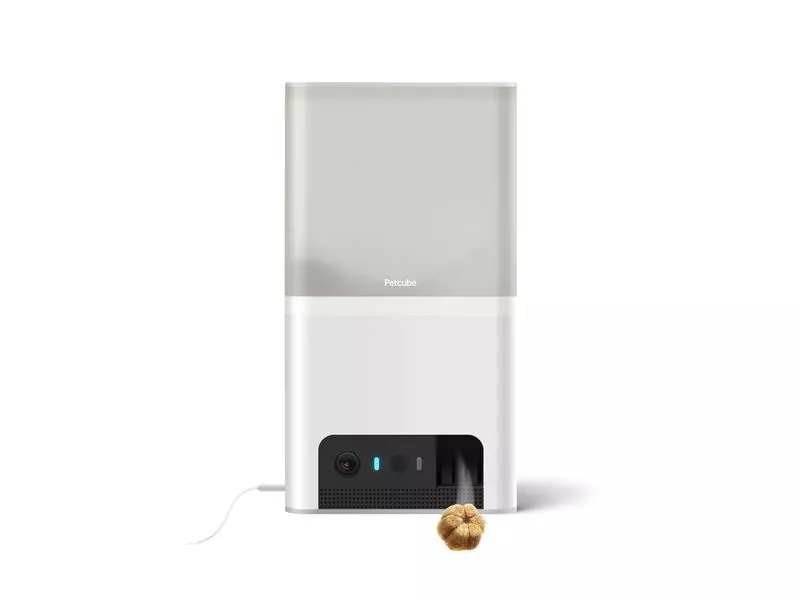 Petcube Haustierkamera Bites 2 Light 4 Petcube Haustierkamera Bites 2 Light – Bild 2