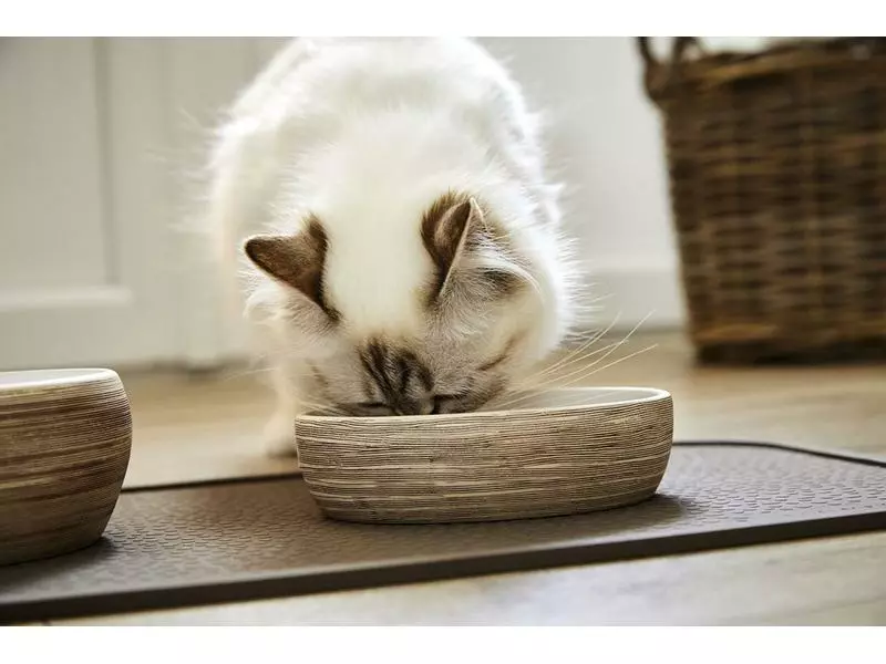 Wolters Napf Diner Stone Cat, Braun, 0.3 l 4 Wolters Napf Diner Stone Cat, Braun, 0.3 l – Bild 2