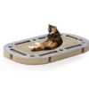 CanadianCat Katzen-Strategiespiel Playplate 1 CanadianCat Katzen-Strategiespiel Playplate -Katzenwelt Verkaufsgeschäft 224320496 xxl
