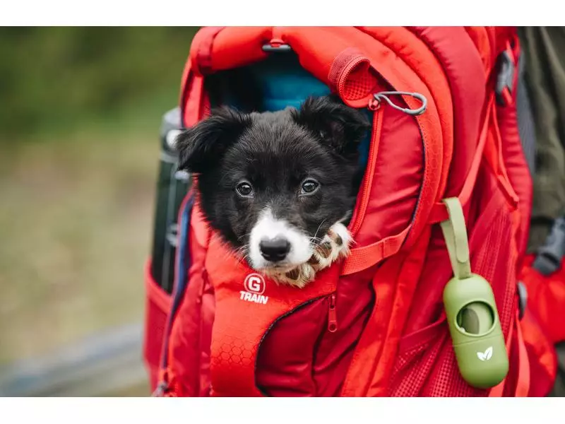 Kurgo Tiertransport-Rucksack G-Train K9, Chili Red 4 Kurgo Tiertransport-Rucksack G-Train K9, Chili Red – Bild 2