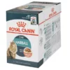 Royal Canin Nassfutter Hairball Care Sosse, 12 x 85 g 2 Royal Canin Nassfutter Hairball Care Sosse, 12 x 85 g -Katzenwelt Verkaufsgeschäft 225710209 xxl