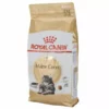Royal Canin Trockenfutter Maine Coon Adult, 2 kg -Katzenwelt Verkaufsgeschäft 225710224 xxl