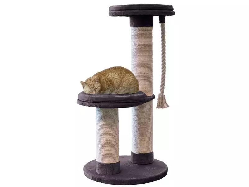 Azoona Kratzbaum Aaron, Grau 3 Azoona Kratzbaum Aaron, Grau