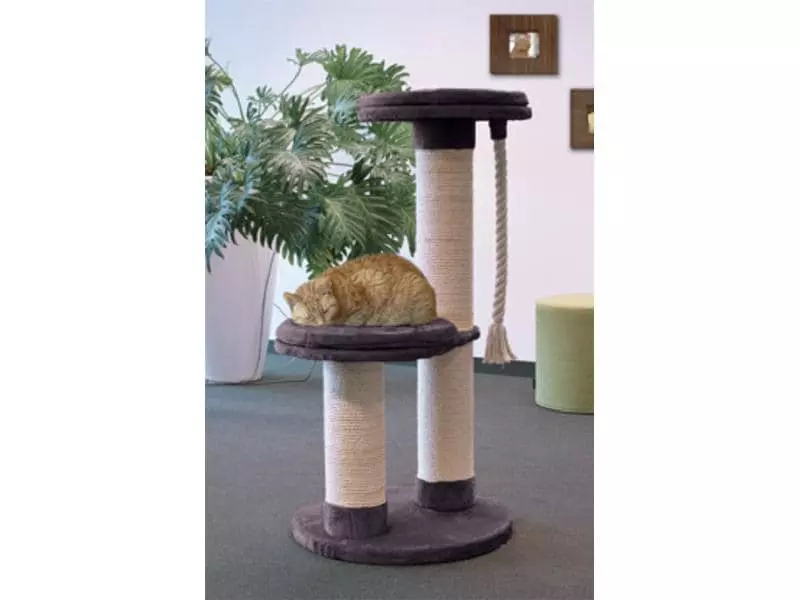 Azoona Kratzbaum Aaron, Grau 4 Azoona Kratzbaum Aaron, Grau – Bild 2