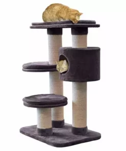 Azoona Kratzbaum Jakob, Grau