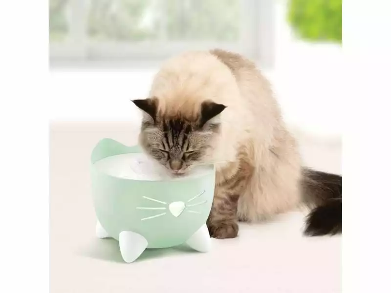 Catit Wasserautomat Pixi Fountain Mint, 2.5 l 4 Catit Wasserautomat Pixi Fountain Mint, 2.5 l – Bild 2