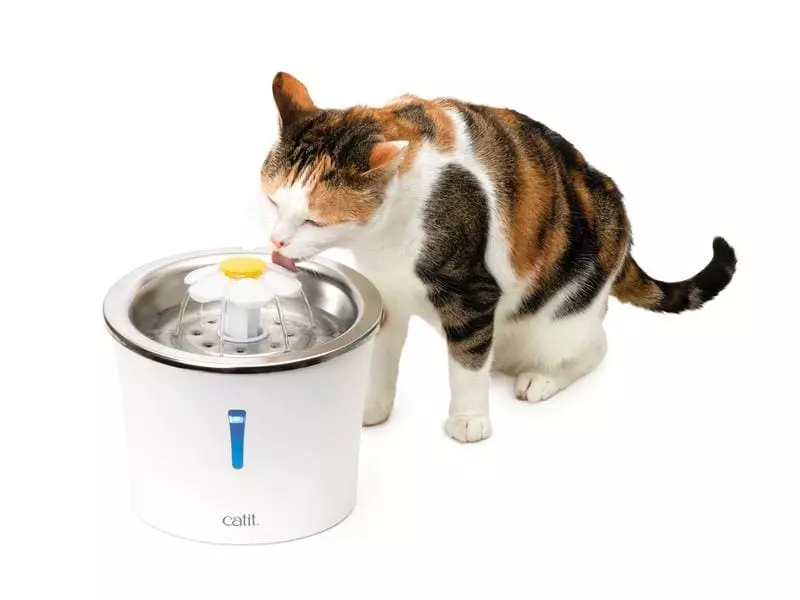 Catit Wasserautomat Flower Fountain Stahl, 3 l 6 Catit Wasserautomat Flower Fountain Stahl, 3 l – Bild 4