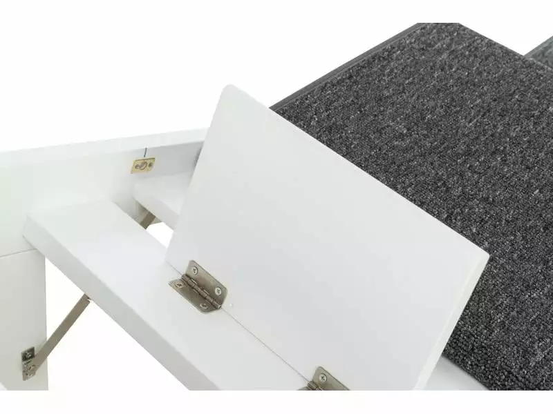 Trixie Rampe mit ausklappbaren Stufen, 44 x 46 x 106 cm 13 Trixie Rampe mit ausklappbaren Stufen, 44 x 46 x 106 cm – Bild 11