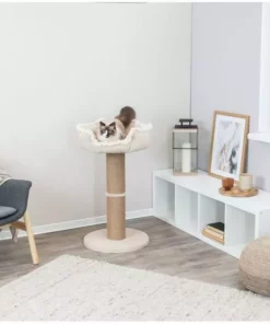 Trixie Kratzbaum Boho, 83 cm, Beige -Katzenwelt Verkaufsgeschäft 230129117 xxl