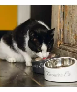 Designed by Lotte Melaminnapf My Favourite Cat Weiss, 0.16 l 11 Designed by Lotte Melaminnapf My Favourite Cat Weiss, 0.16 l -Katzenwelt Verkaufsgeschäft 230410516 xxl