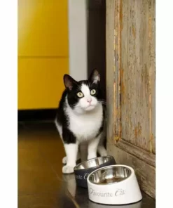 Designed by Lotte Melaminnapf My Favourite Cat Weiss, 0.16 l 10 Designed by Lotte Melaminnapf My Favourite Cat Weiss, 0.16 l -Katzenwelt Verkaufsgeschäft 230410532 xxl