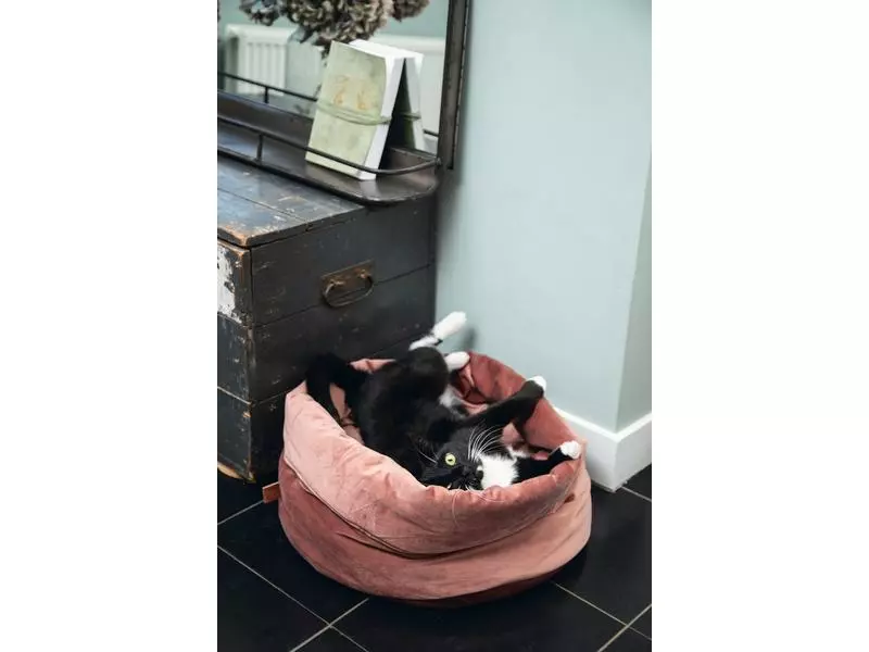 Designed by Lotte Hundekorb Fluco Ø 45, Rosa 4 Designed by Lotte Hundekorb Fluco Ø 45, Rosa – Bild 2