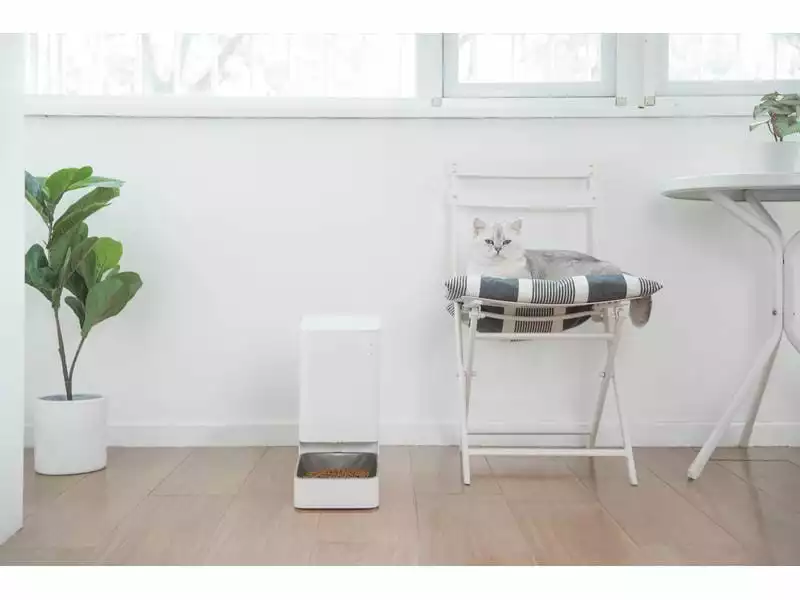 Xiaomi Smart Pet Food Feeder, Weiss 6 Xiaomi Smart Pet Food Feeder, Weiss – Bild 4