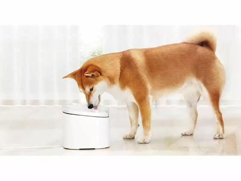 Xiaomi Smart Pet Fountain, Weiss 6 Xiaomi Smart Pet Fountain, Weiss – Bild 4