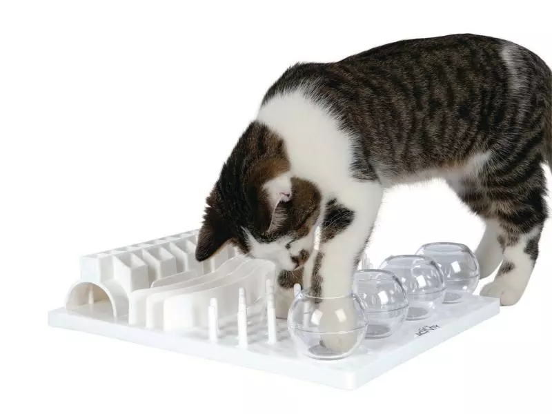 Trixie Katzen-Strategiespiel Fun Board 3 Trixie Katzen-Strategiespiel Fun Board