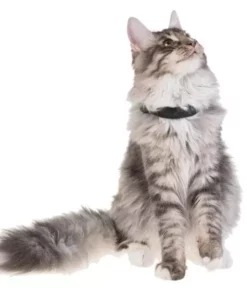 PetTracer GPS-Katzenhalsband Zusatzhalsband