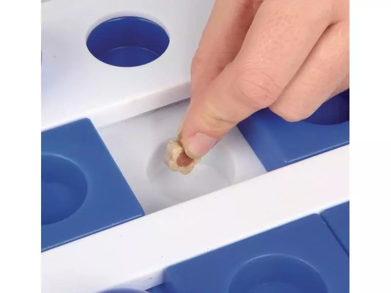 Trixie Katzen-Strategiespiel Brain Mover 9 Trixie Katzen-Strategiespiel Brain Mover – Bild 7