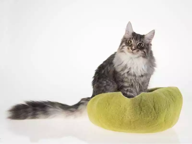 Kivikis Kuschelhöhle Cat Cave birch green 7 Kivikis Kuschelhöhle Cat Cave birch green – Bild 5