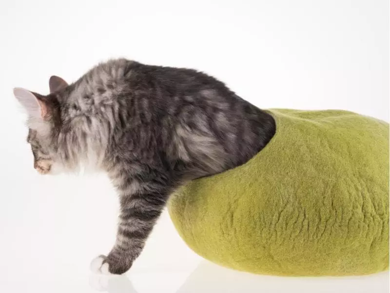 Kivikis Kuschelhöhle Cat Cave birch green 6 Kivikis Kuschelhöhle Cat Cave birch green – Bild 4