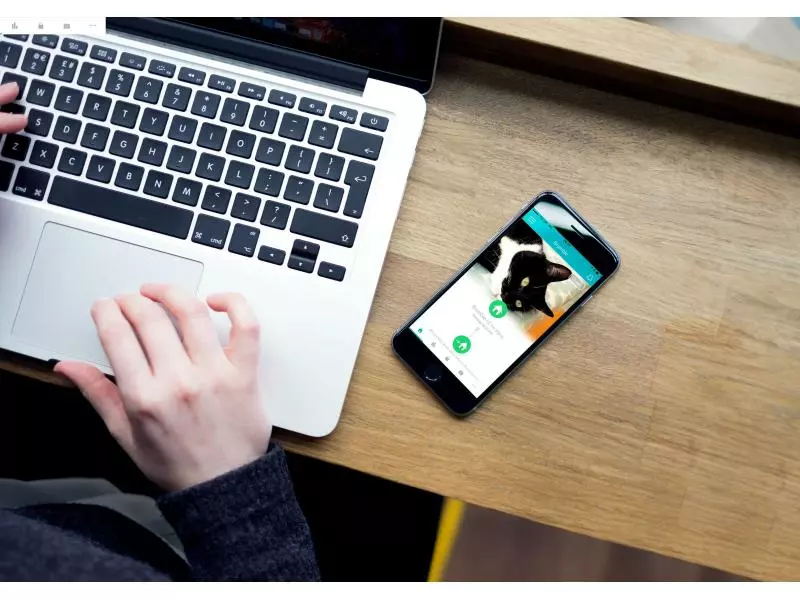 SureFlap Freilauftür Connect XL & Hub Kit 7 SureFlap Freilauftür Connect XL & Hub Kit – Bild 5