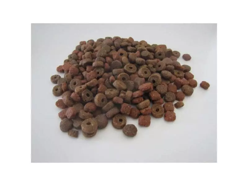 PURE Naturfutter Trockenfutter Premium Cat Geflügel & Fisch, 2 kg 4 PURE Naturfutter Trockenfutter Premium Cat Geflügel & Fisch, 2 kg – Bild 2