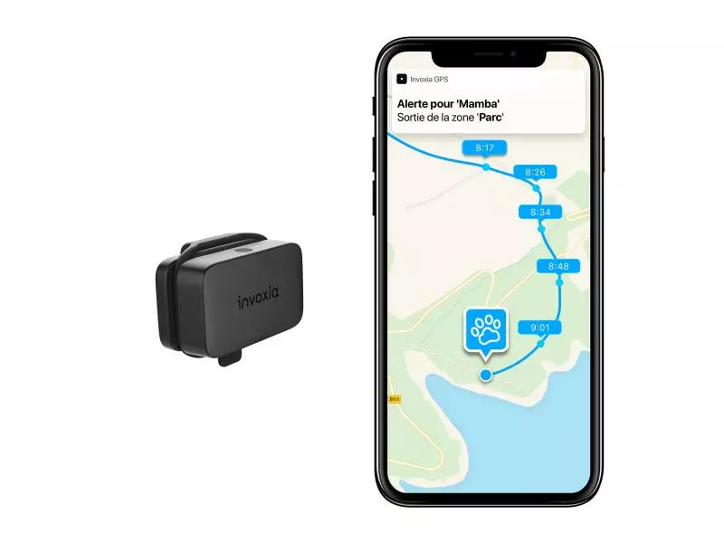 Invoxia Pet GPS-Tracker für Katzen und Hunde 17 Invoxia Pet GPS-Tracker für Katzen und Hunde – Bild 15