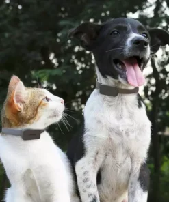 Invoxia Pet GPS-Tracker für Katzen und Hunde 21 Invoxia Pet GPS-Tracker für Katzen und Hunde -Katzenwelt Verkaufsgeschäft 52927047 xxl