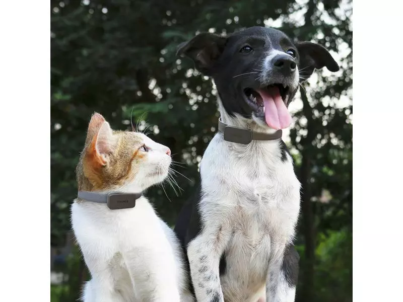 Invoxia Pet GPS-Tracker für Katzen und Hunde 7 Invoxia Pet GPS-Tracker für Katzen und Hunde – Bild 5