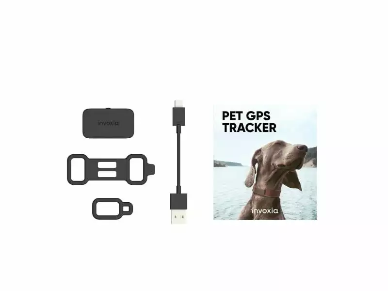 Invoxia Pet GPS-Tracker für Katzen und Hunde 6 Invoxia Pet GPS-Tracker für Katzen und Hunde – Bild 4