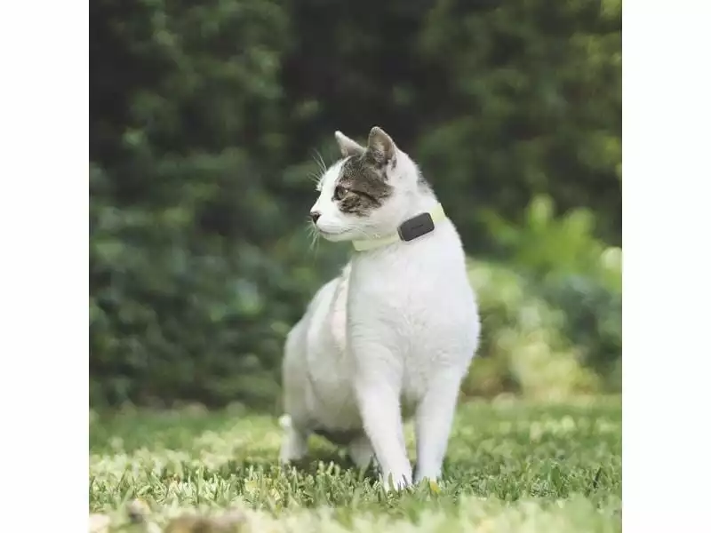 Invoxia GPS-Tracker für Katzen und Hunde inkl. Befestigungsclips 9 Invoxia GPS-Tracker für Katzen und Hunde inkl. Befestigungsclips – Bild 7