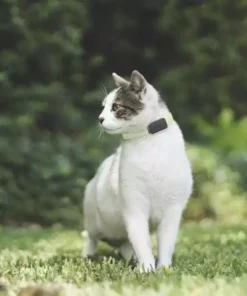 Invoxia Pet GPS-Tracker für Katzen und Hunde 23 Invoxia Pet GPS-Tracker für Katzen und Hunde -Katzenwelt Verkaufsgeschäft 52927074 xxl