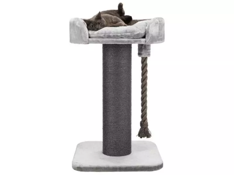 Trixie Kratzbaum Klara XXL Grau 5 Trixie Kratzbaum Klara XXL Grau – Bild 3