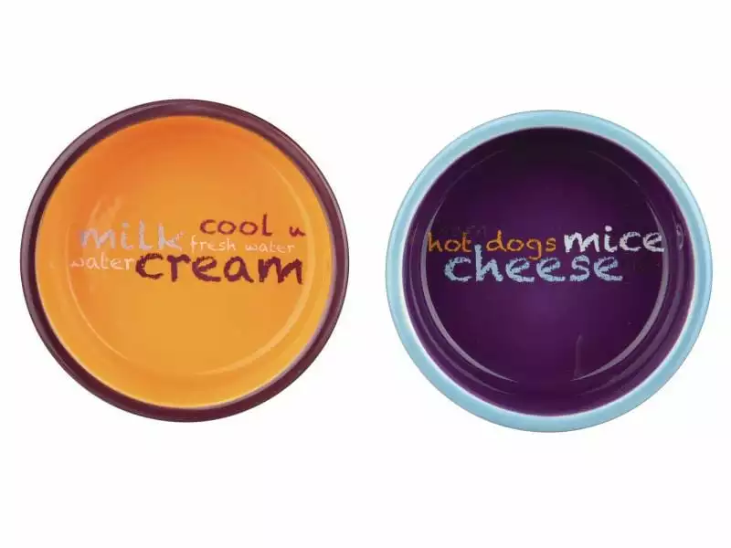 Trixie Napf-Set Eat on Feet 2 x 0.3 l / ø 12 cm 4 Trixie Napf-Set Eat on Feet 2 x 0.3 l / ø 12 cm – Bild 2