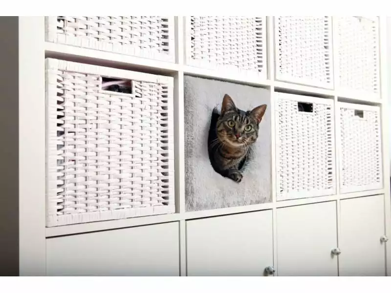 Trixie Kuschelhöhle für Regal 4 Trixie Kuschelhöhle für Regal – Bild 2