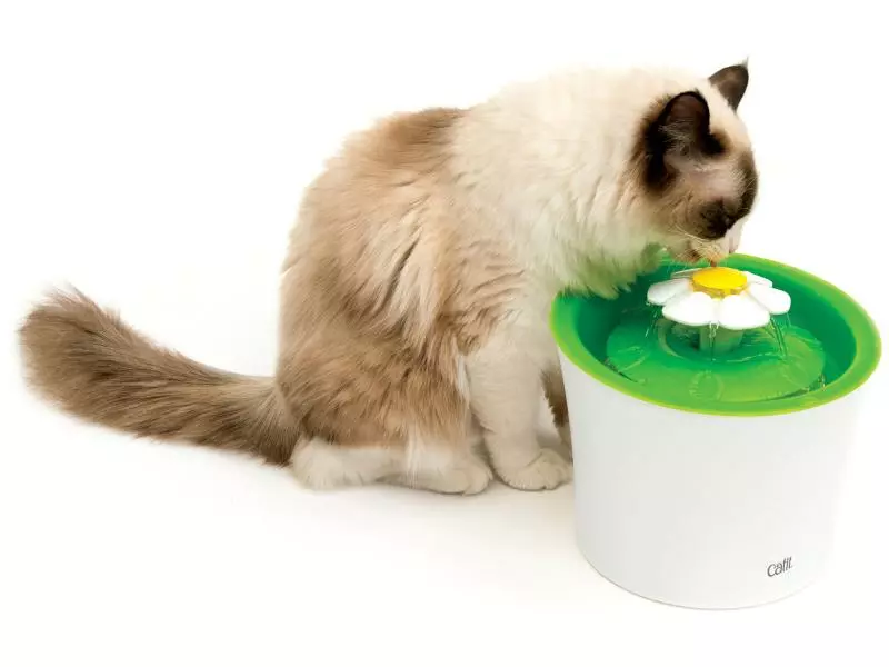 Catit Wasserautomat Senses Flower 3 l 3 Catit Wasserautomat Senses Flower 3 l