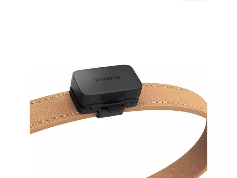 Invoxia Pet GPS-Tracker für Katzen und Hunde 3 Invoxia Pet GPS-Tracker für Katzen und Hunde