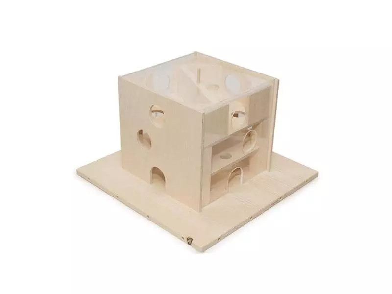 Hundespiele.ch Katzen-Strategiespiel Katzenfummelhaus aus Holz 3 Hundespiele.ch Katzen-Strategiespiel Katzenfummelhaus aus Holz