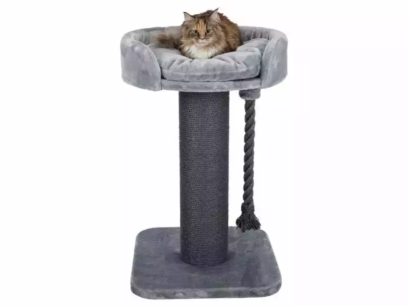 Trixie Kratzbaum Klara XXL Grau 3 Trixie Kratzbaum Klara XXL Grau