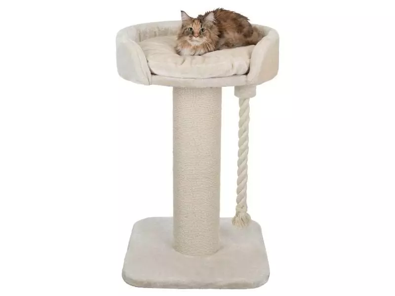 Trixie Kratzbaum Klara XXL Creme 3 Trixie Kratzbaum Klara XXL Creme