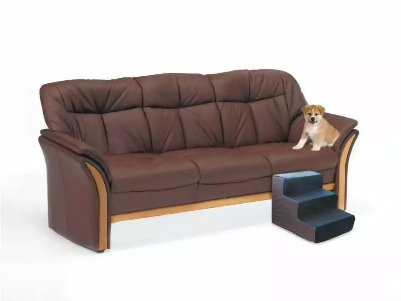 SwissPet Treppe Tibbo für Katzen & Hunde 3 SwissPet Treppe Tibbo für Katzen & Hunde