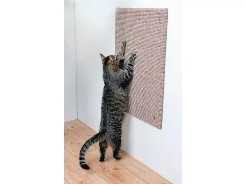 Trixie Kratzbrett XL 3 Trixie Kratzbrett XL