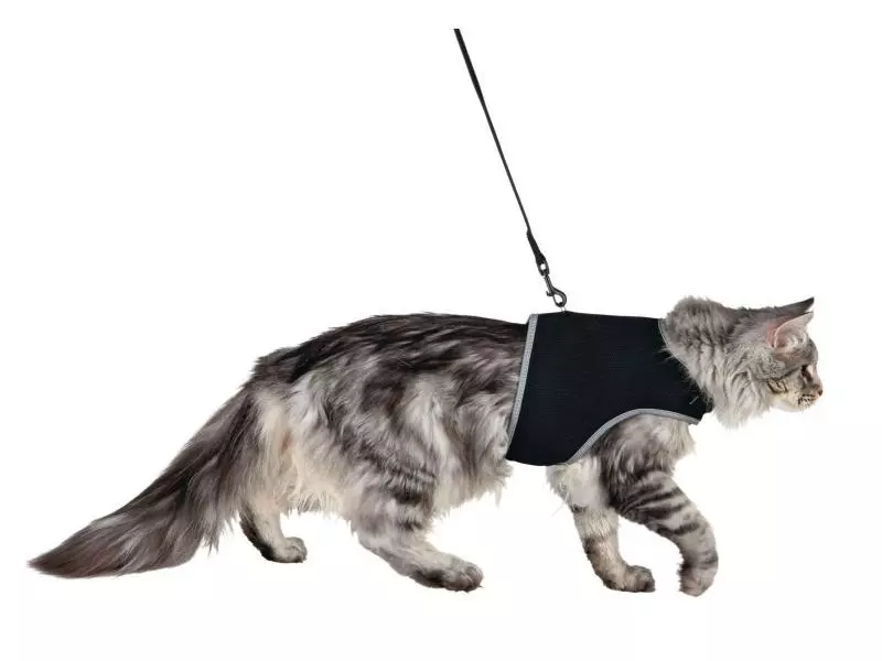 Trixie Softgeschirr Safer Life inkl. Leine 3 Trixie Softgeschirr Safer Life inkl. Leine